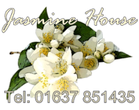 Jasmine House Bed and Breakfast, Newquay, Cornwall.  01637 8851435